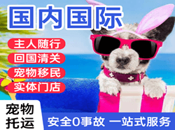 昆冈空运地址国际宠物托运 【国